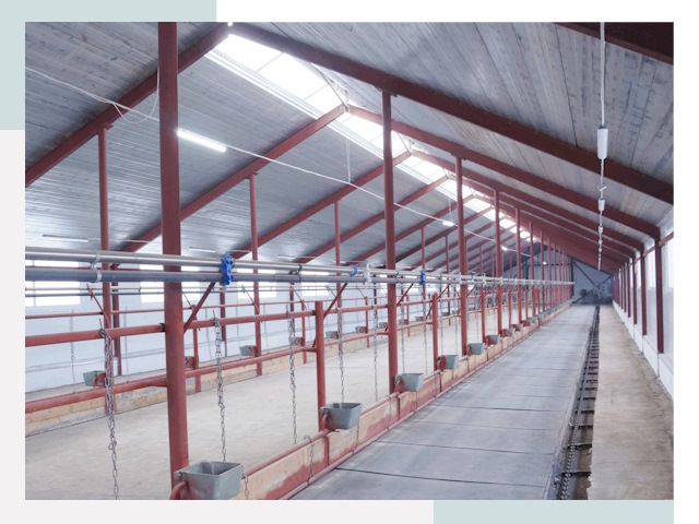 Строительство коровников в Камне-на-Оби от 609 руб.