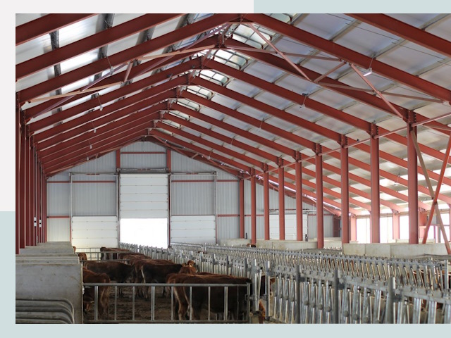 Строительство коровников в Камне-на-Оби