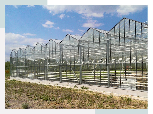 Строительство теплиц в Камень-на-Оби от 609 руб. за м²