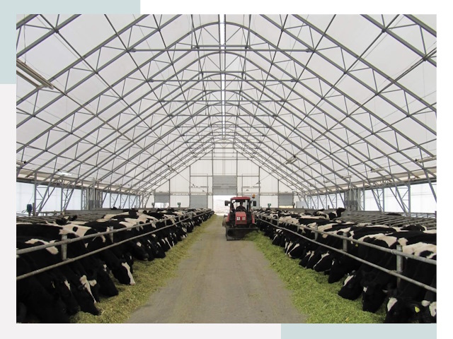 Тентовые коровники в Камне-на-Оби от 609 руб. - Надежно и доступно